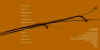 72 INSIDE24bit.jpg (11368 bytes)